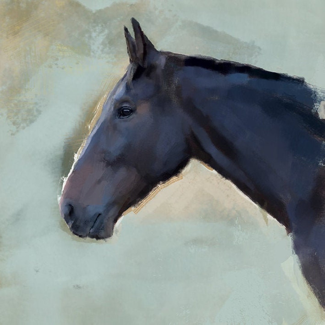 Black Horse Print Fine Art Giclee Print Black Horse Lover Gifts Etsy UK