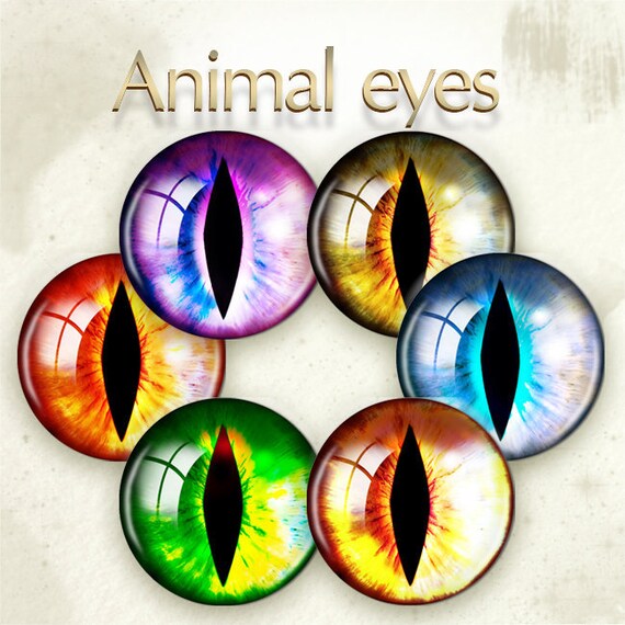 cats-eye-cat-eyes-printable-craft-circles-animal-eye-images-instant