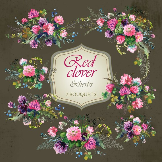 Trèfle Rouge Fleurs Png Bouquets Aquarelle Rose Floral Clipart Vert Champ Fleurons Posies Violet Violet Style Boho Bouquet Numérique Shamrock