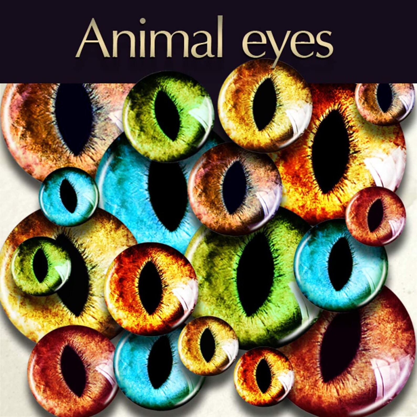 Cat Eyes Super Realistic Printable Cat Irises Golden Amber Etsy