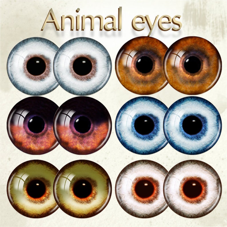 Dog Eyes Brown Realistic Printable Eyes Husky Digital Odinary Etsy