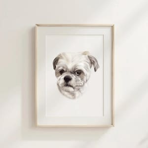 Custom Pet Portrait, Detailed Personalised Pet Portrait, Animal Portrait