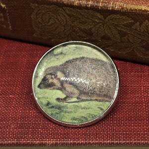 Istrice spilla fatta a mano da Victorian libro illustrazione - Hedgehog gioielli, regalo istrice, riccio Pin
