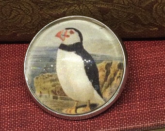 Puffin Pin Brooch Handmade from Victorian Book Illustration copy - Puffin Jewellery, Puffin Gifts, Puffin Brooch