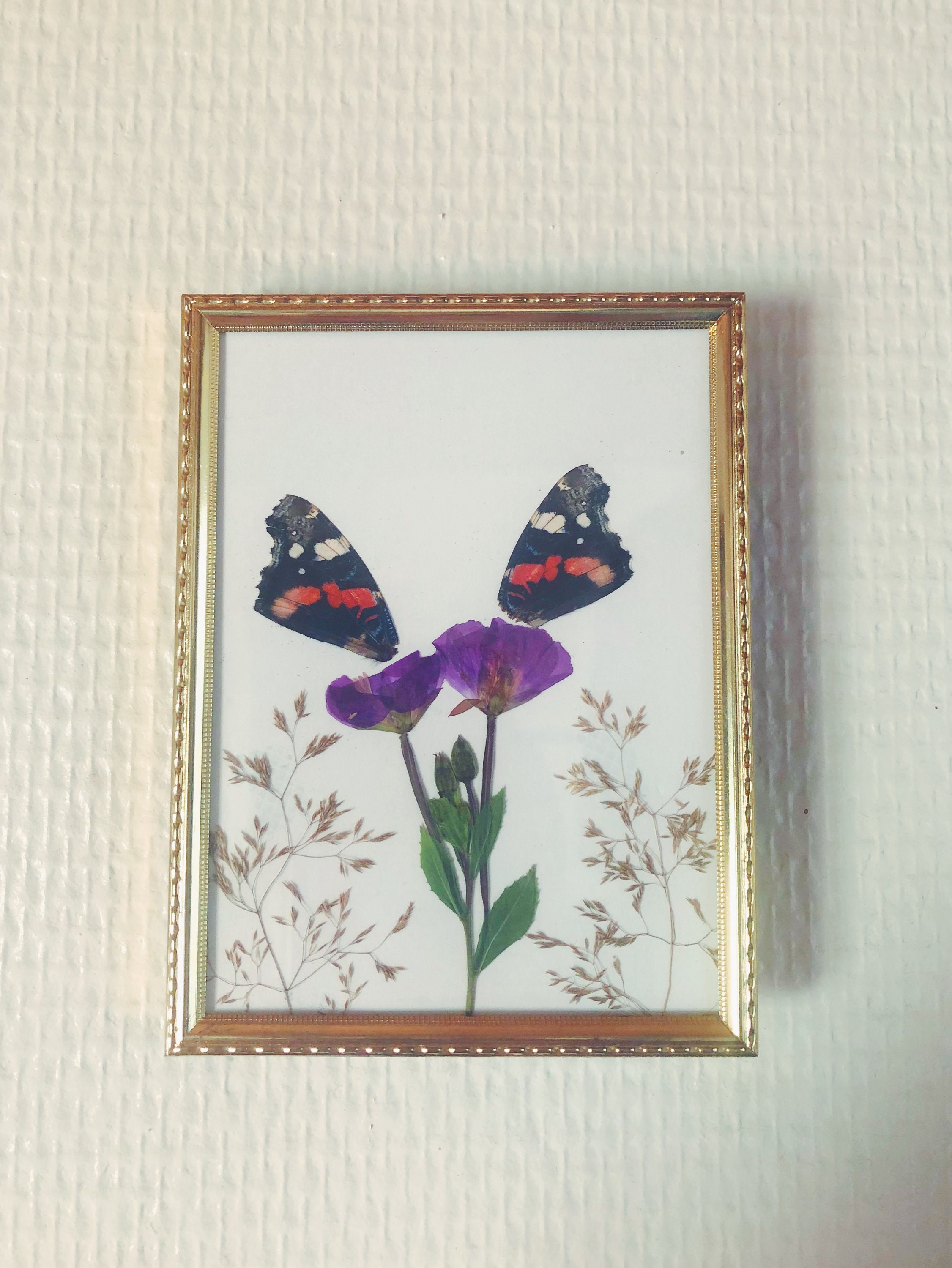 Cadre Doré Papillon et Fleurs Pressées