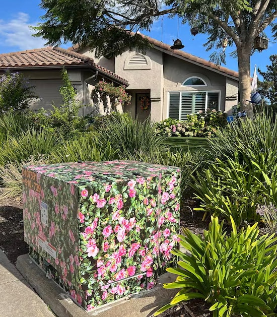 Landscaping Ideas To Hide Utility Boxes Todd's Nursery: Learn About