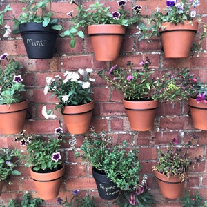 May include: A brick wall with nine hanging terracotta pots, each containing a different type of plant. The pots are labelled with handwritten chalk labels: "Mint", "Thyme Lemon".