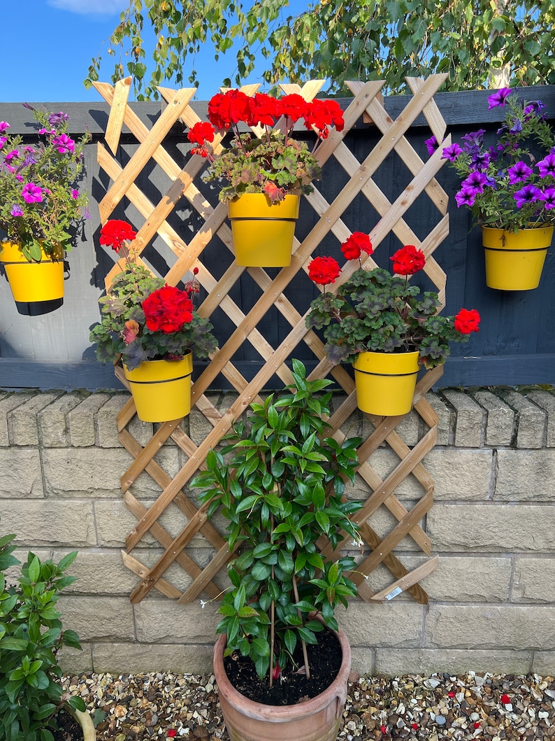 MyTinyPot Trellis Hooks - Thumbnail 3