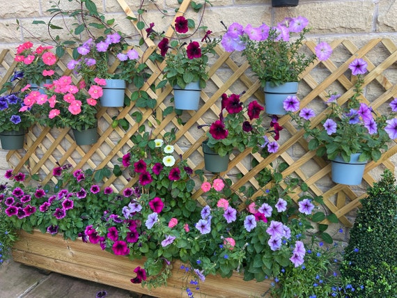 Garden Hanging Plant Pot Holder for Balcony and Terrace Garden Flowers