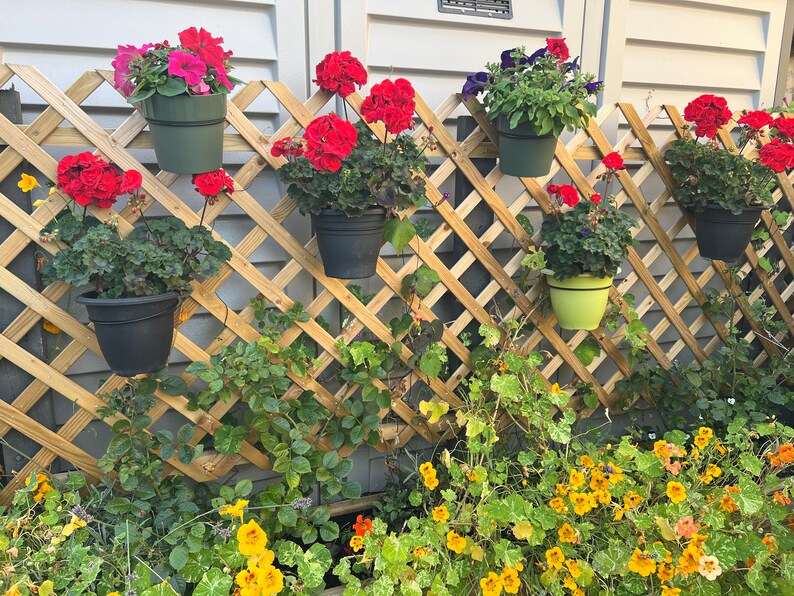 MyTinyPot Trellis Hooks - Thumbnail 4