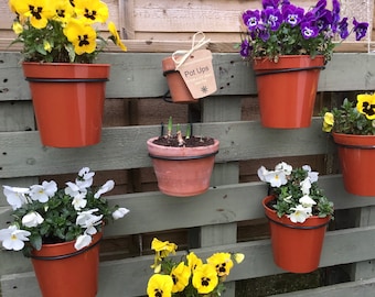 Plant Pot Trellis Hangers: Black Steel, 5" Pots, Pack of 12