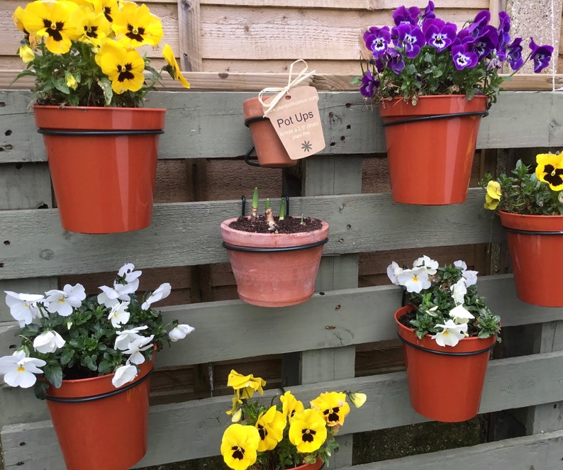 MyTinyPot Trellis Hooks - Thumbnail 5