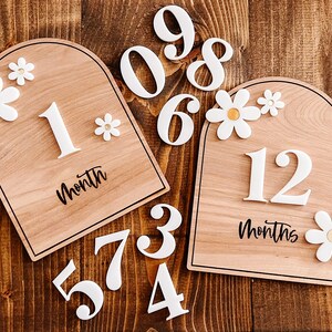 Monthly Progression Boards | Boho Baby | Daisy Progression Boards | Baby Progression