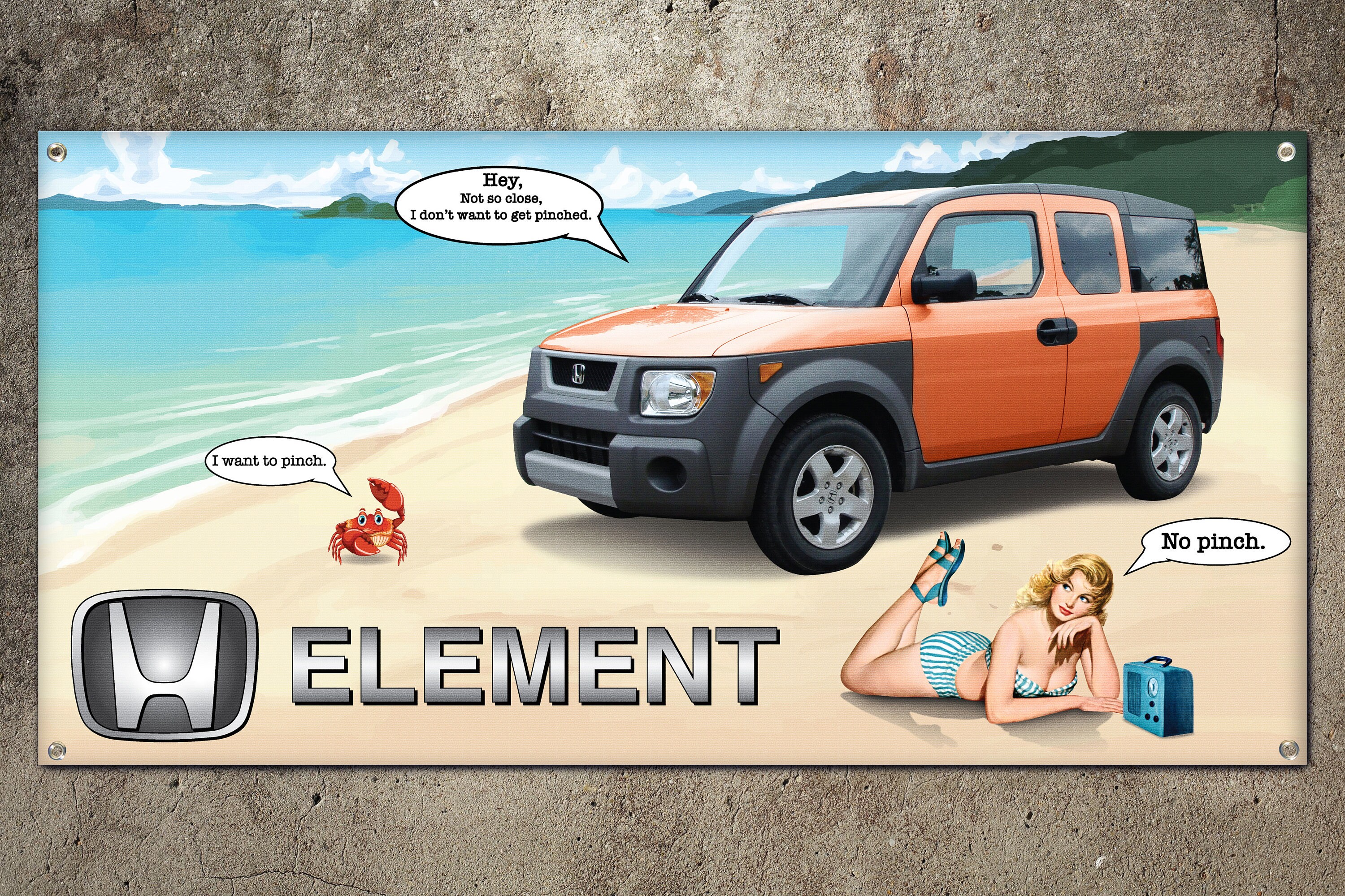 Custom Honda Element Accessories