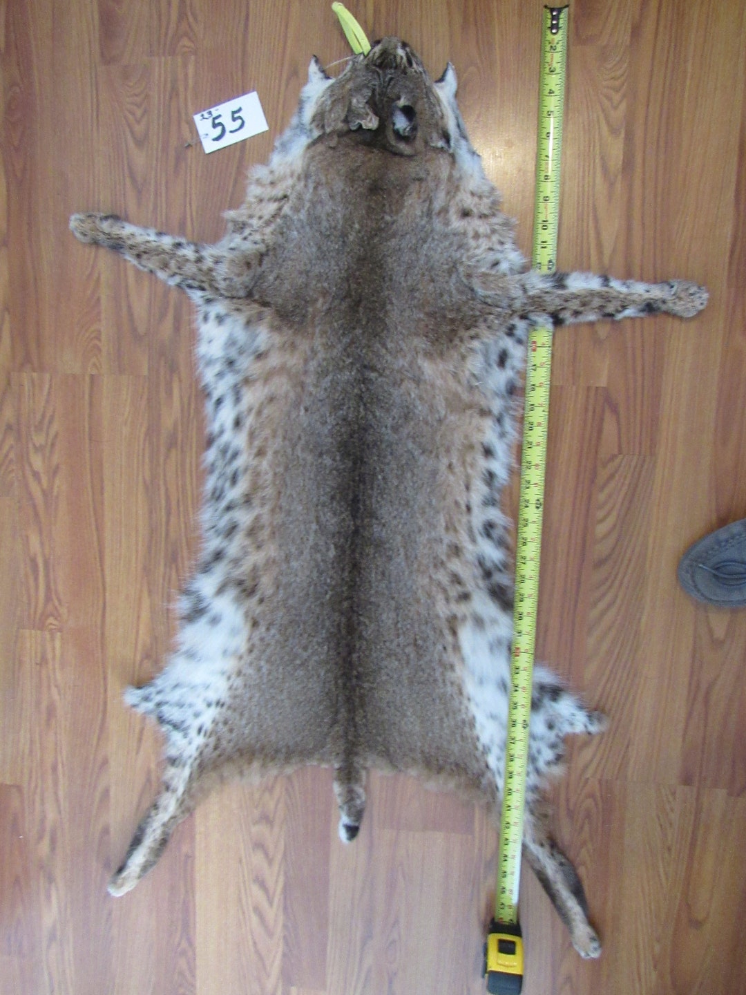 Professionally Tanned Bobcat Pelt Open With Feet, Claws Animal Skin