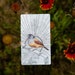 Birds Oracle Deck 2 - Etsy