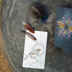 Birds Oracle Deck Reset Journey (cours en ligne)