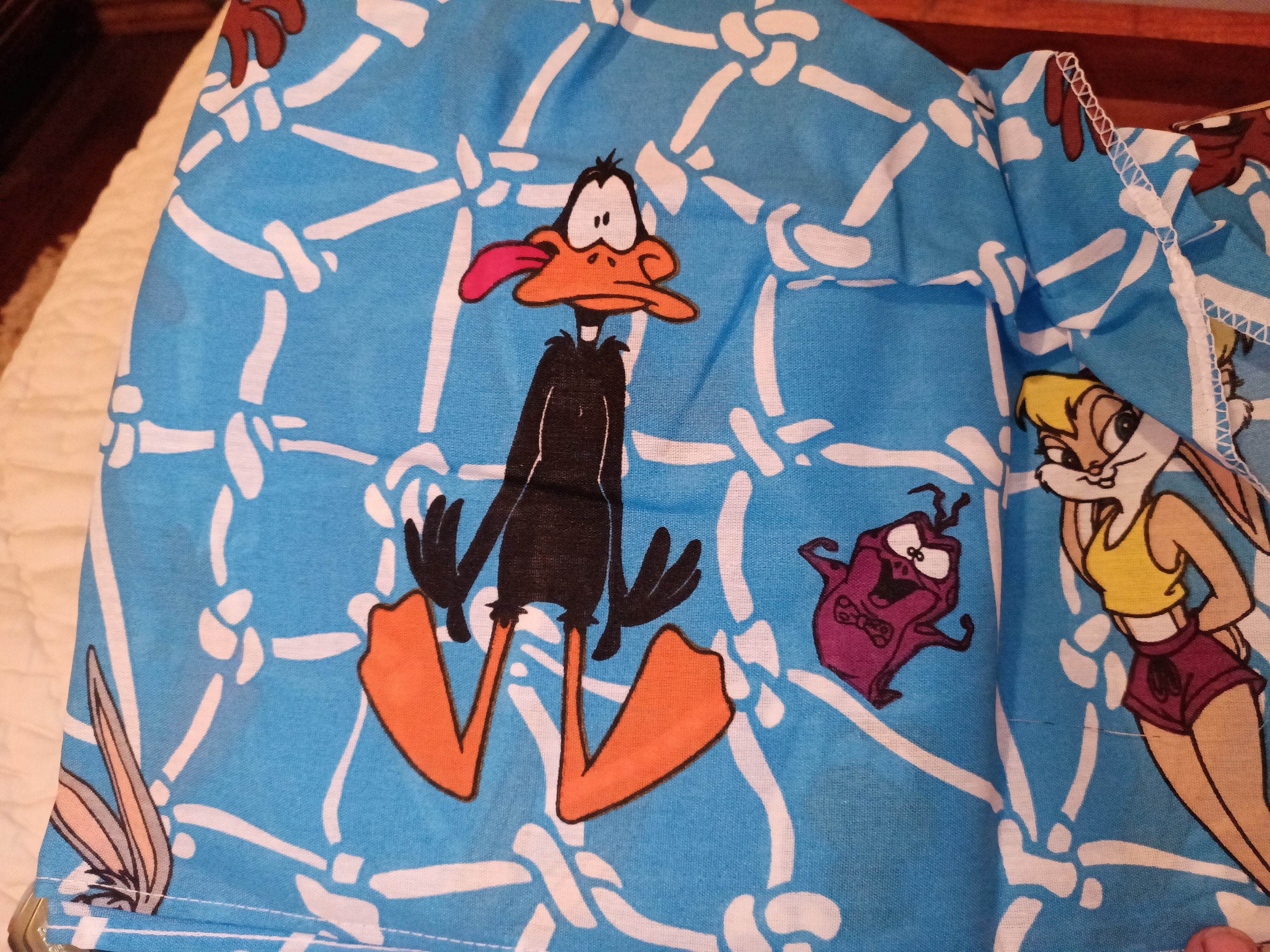 1996 Space Jam Bed Skirt full Etsy