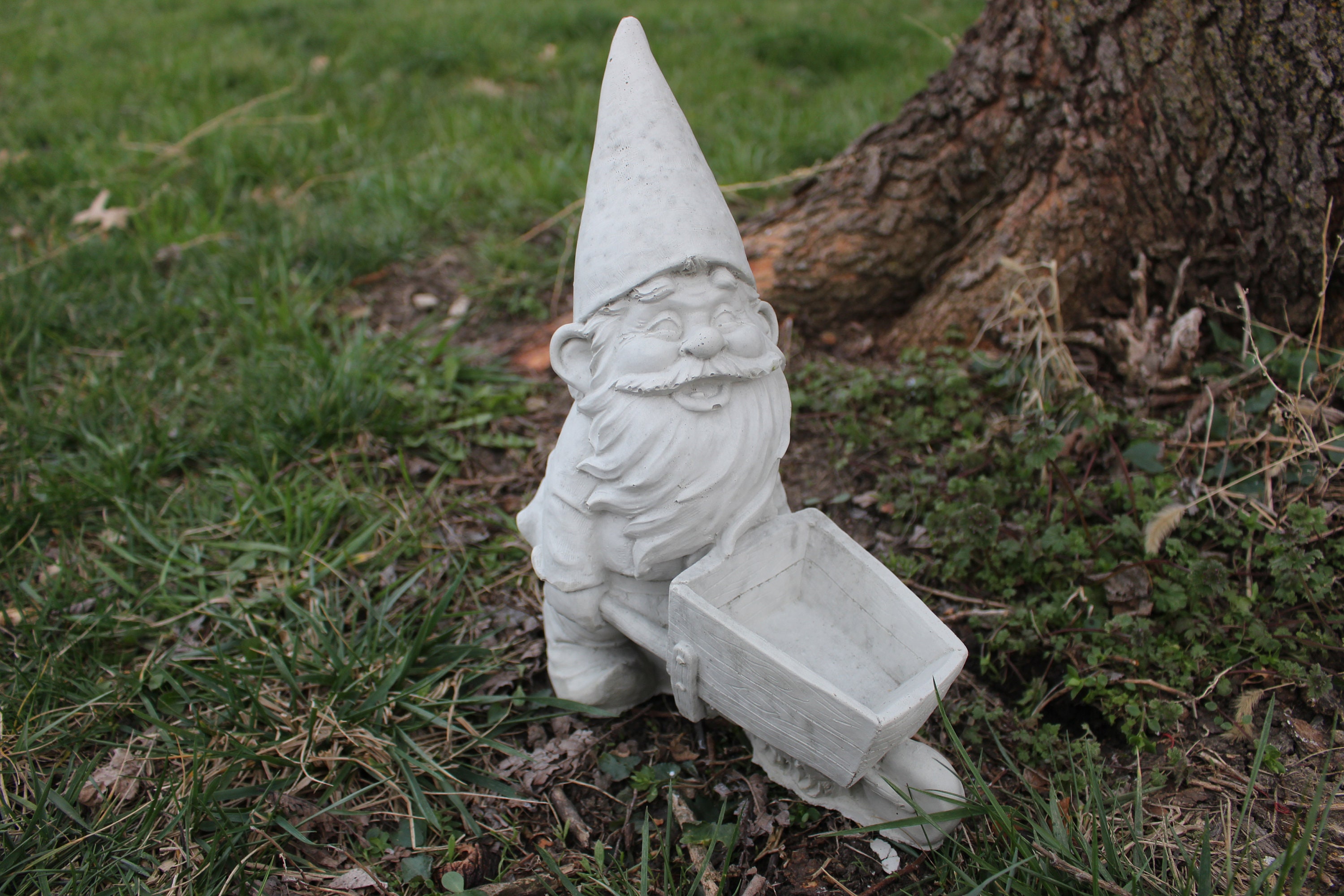 Gnome-wheelbarrow-concrete Statue Outdoors | Etsy