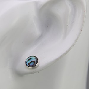 925 Sterling Silver Paua Shell Earrings Silver Jewelry