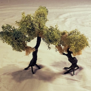 May include: Two miniature trees made of green moss and brown branches. The trees are on a white surface.