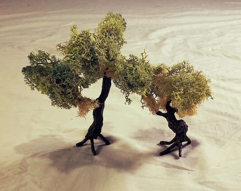 May include: Two miniature trees made of green moss and brown branches. The trees are on a white surface.