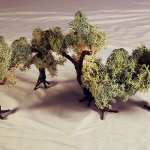 May include: Four miniature trees made of green and white moss, with brown wire branches, are arranged on a white surface. The trees are all different sizes and shapes.