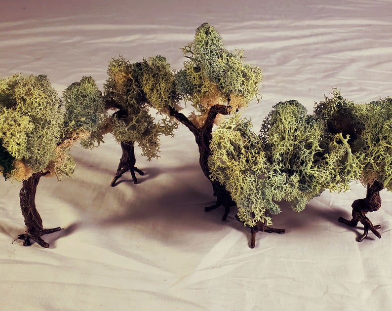 May include: Four miniature trees made of green and white moss, with brown wire branches, are arranged on a white surface. The trees are all different sizes and shapes.