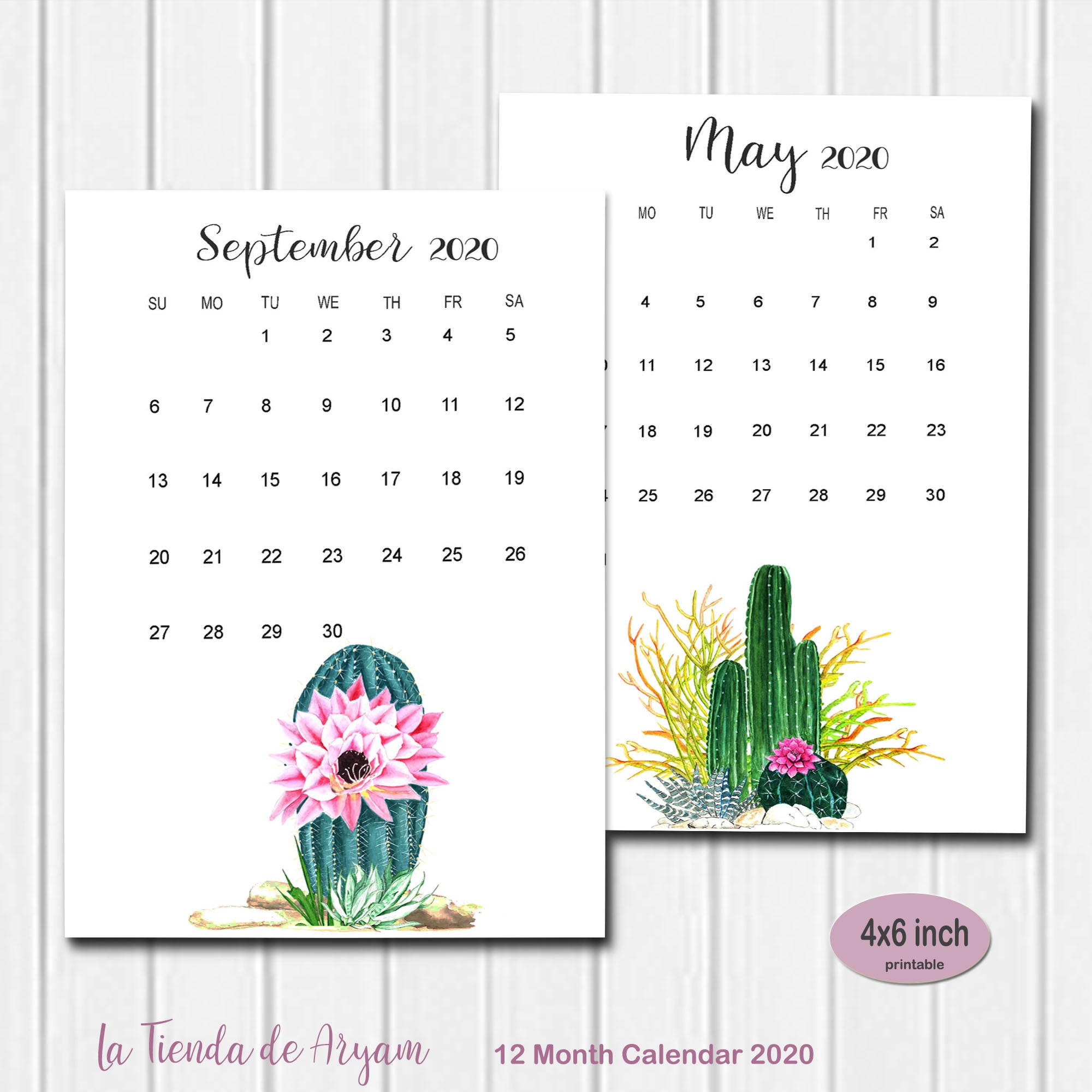 Printable 2020 calendar cactus cactus desk calendar monthly Etsy