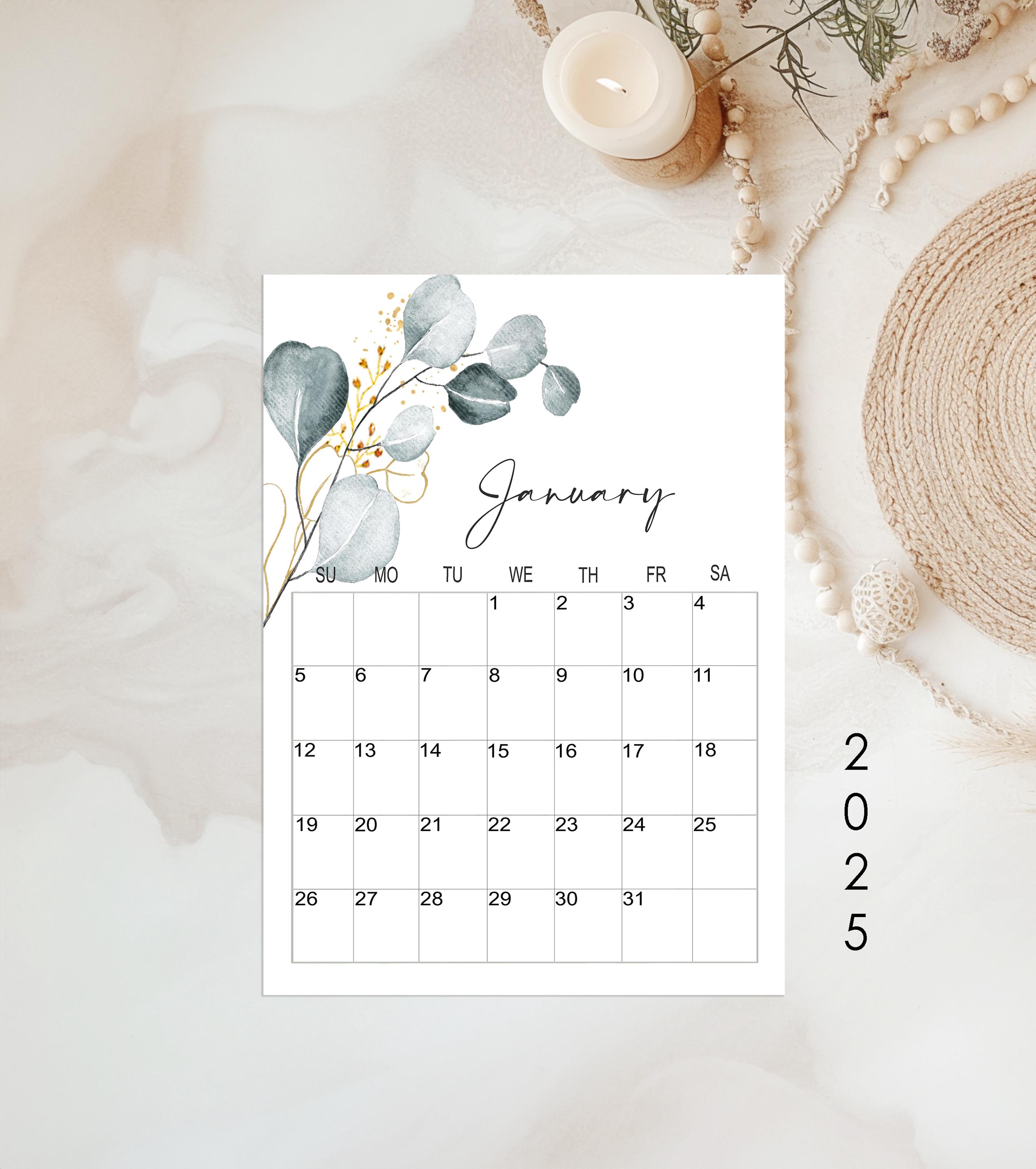 Amazon.com: Aesthetic 2025 Wall Calendar - Runs from June