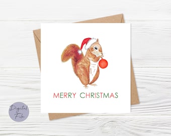 pack of 5 XF01 Squirrel Little Christmas Cards
