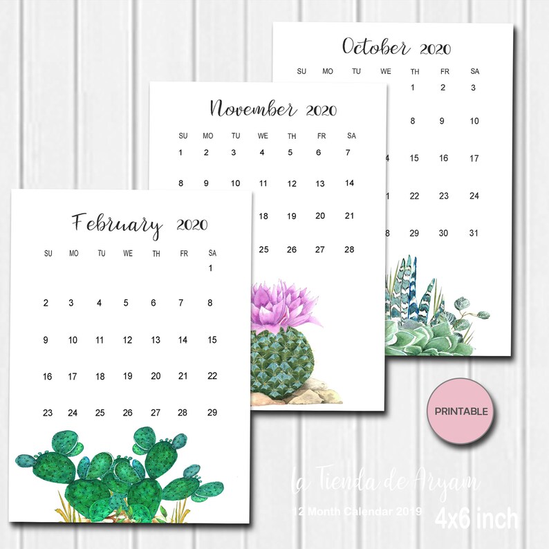 Printable 2020 calendar cactus cactus desk calendar monthly | Etsy