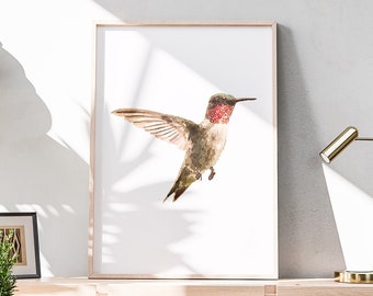 Pintura de colibrí en acuarela: lámina artística de aves tropicales (descarga digital)