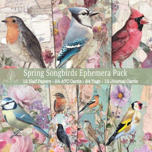 Paquete de efímeras de pájaros cantores de primavera, papeles de diario vintage, etiquetas imprimibles, descarga digital