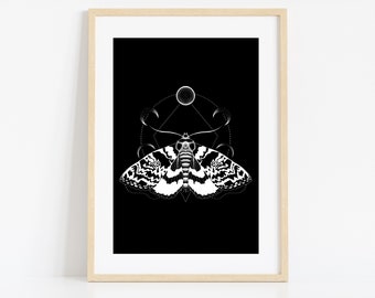 May include: A black and white illustration of a moth with geometric shapes and a moon in the background.