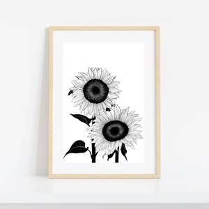 Sunflower  - Sunflower Art Print - Printable Wall Art - Instant Download - Floral Art Print