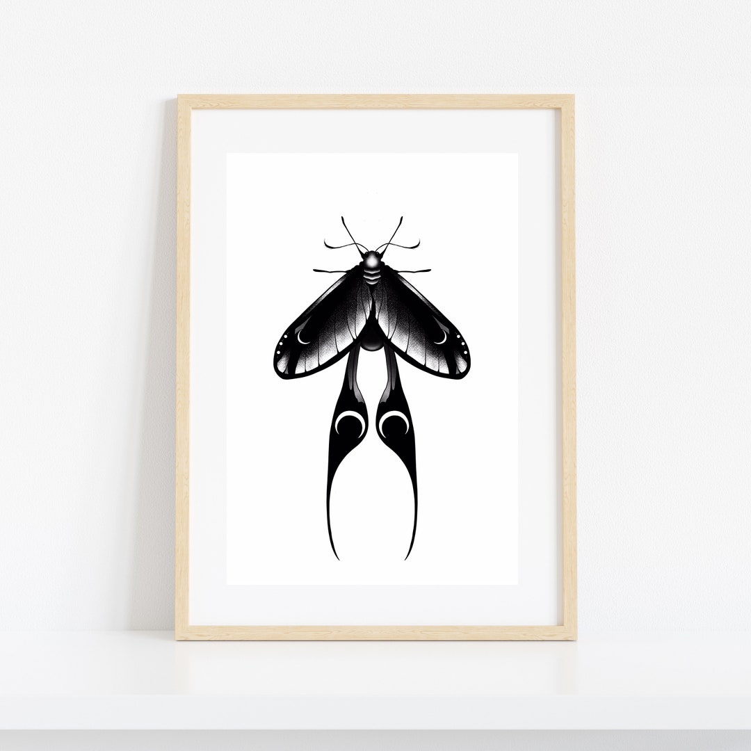 Moth Art Print - Moth Drawing - Moon Artwork - Etsy