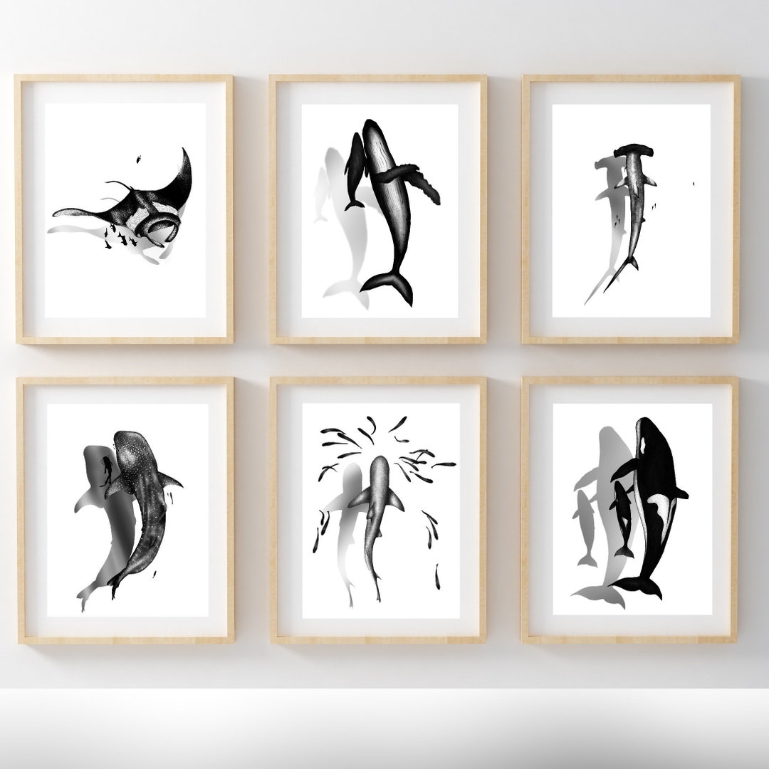 Set of 6 - Shark Art Print - Whale Art Print - Animal Art Print - Set ...