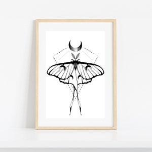 Impresión de arte de la polilla - Luna moth - Moth Drawing