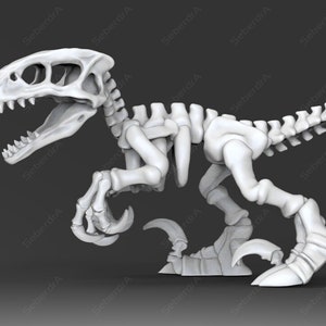 3D model of Raptor Skeleton STL for 3D print