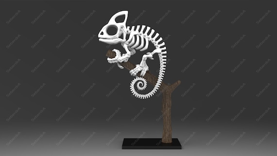 Camaleonte 3D Flessibile - Giocattolo Lucertola Stampato In 3D, 3 Pezzi Realistici Per Ufficio E Regalo - 4