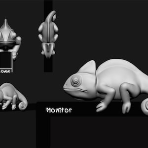 May include: A 3D model of a chameleon in various poses. The chameleon is a light gray color and has a long tail. The model is labeled "Monitor".