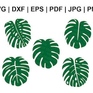 Monstera Svg Bundle, Tropical Leaves Svg, Monstera Leaf Cut Files For Cricut and Silhouette - Svg Dxf Eps Pdf Jpg Png - Commercial Use