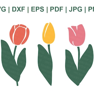 Tulip Svg Bundle, Tulip Flower Svg, Spring Clipart, Cricut, Silhouette Cut Files - Svg Dxf Eps Pdf Jpg Png - Commercial Use