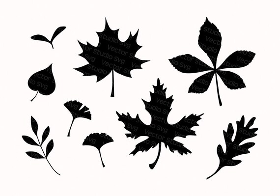 Download Free 9 Fall Leaves Silhouette Autumn Leaf Svg Bundle Svg Cut Files Etsy SVG Cut Files