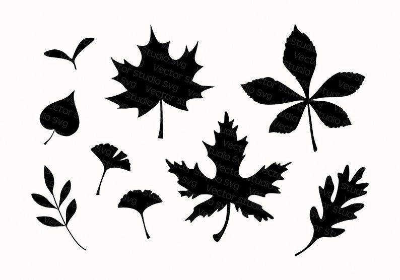 Download 9 Herbst Blätter Silhouette Svg Herbst Blatt SVG Bundle ...