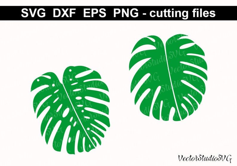 Download Monstera Leaves SVG Cutting Files Silhouette Leaves | Etsy