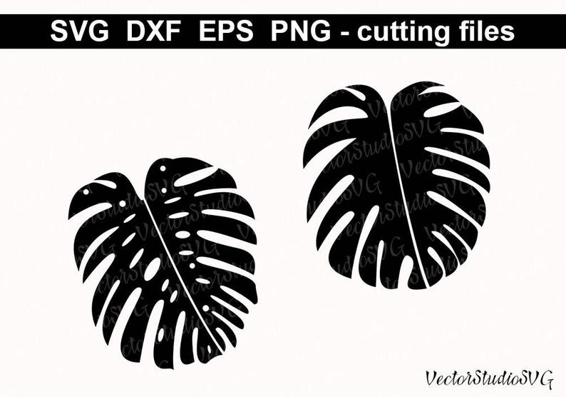 Download Monstera Leaves SVG Cutting Files Silhouette Leaves | Etsy