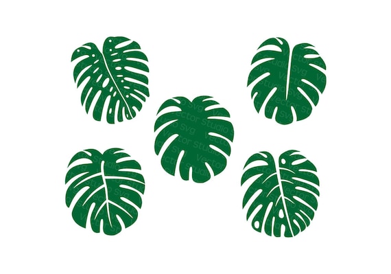 Monstera Svg Bundle, Tropical Leaves Svg, Monstera Leaf Cut Files for  Cricut and Silhouette - Svg Dxf Eps Pdf Jpg Png - Commercial Use - Etsy