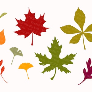 Fall Leaves SVG Bundle | 9 Autumn Leaf Cut Files | DIY Foliage Silhouettes | Svg Dxf Eps Pdf Png